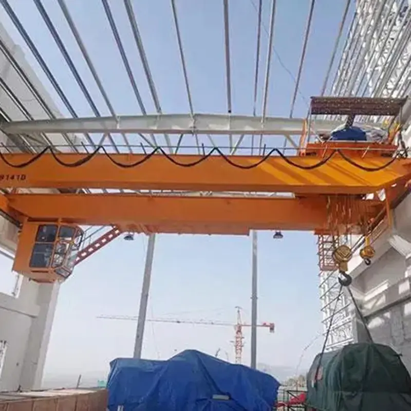 Double Girder Bridge Crane (11).jpg